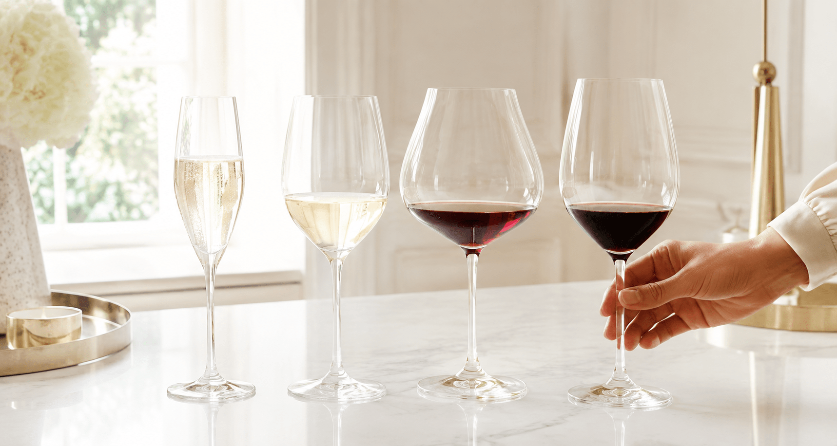 types of wine visual guide