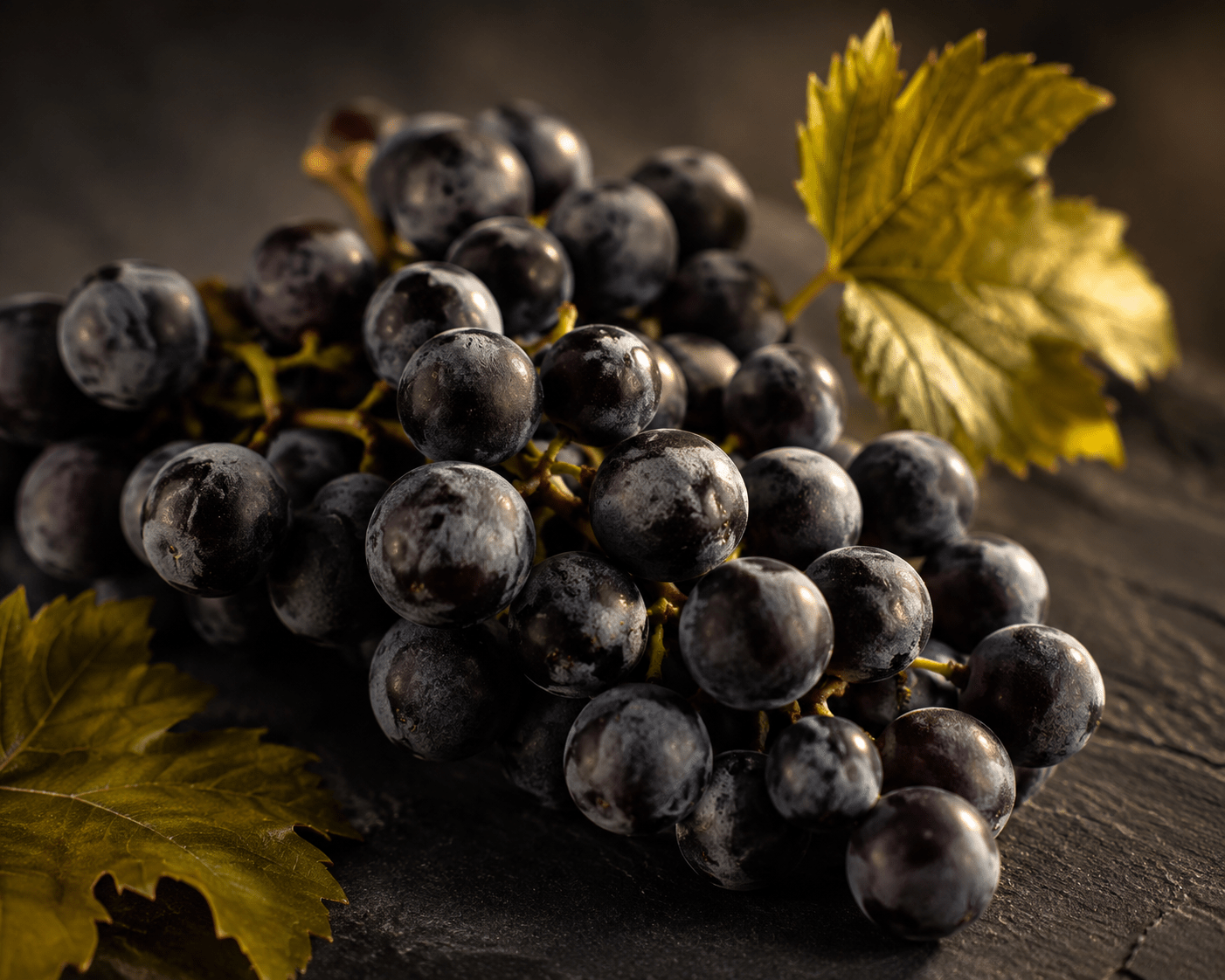 pinot noir wine